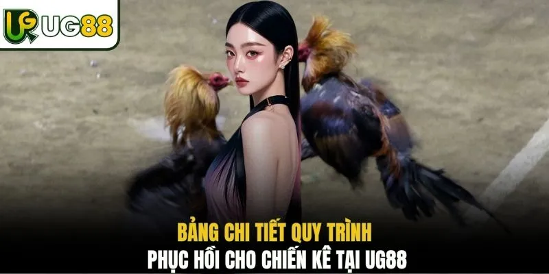 Bảng chi tiết quy trình phục hồi cho chiến kê tại UG88