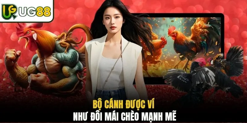 Bộ cánh được ví như đôi mái chèo mạnh mẽ