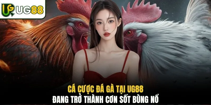 Cá cược đá gà tại UG88 đang trở thành cơn sốt bùng nổ