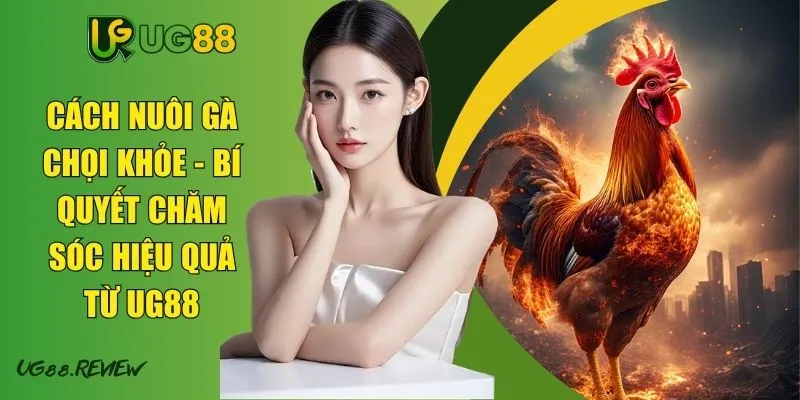 Cách Nuôi Gà Chọi Khỏe - Bí Quyết Chăm Sóc Hiệu Quả Từ UG88