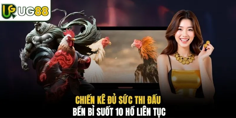 Chiến kê đủ sức thi đấu bền bỉ suốt 10 hồ liên tục