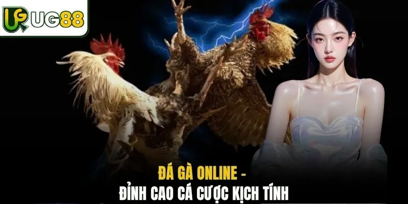 Đá gà online - Đỉnh cao cá cược kịch tính