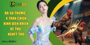 Đá gà Thomo - 4 Trận Chiến Kinh Điển Khiến Kê Thủ Nghẹt Thở