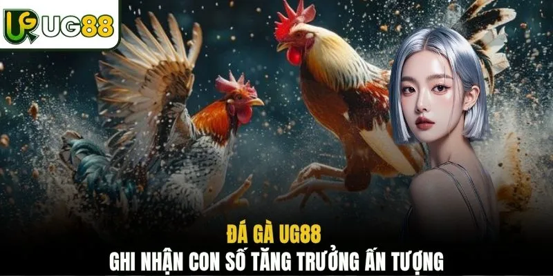 Đá gà UG88 ghi nhận con số tăng trưởng ấn tượng