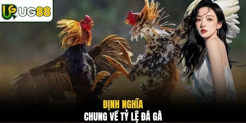 Định nghĩa chung về tỷ lệ đá gà