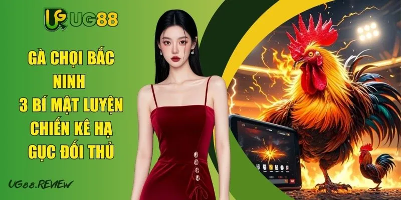 Gà chọi Bắc Ninh - 3 Bí Mật Luyện Chiến Kê Hạ Gục Đối Thủ