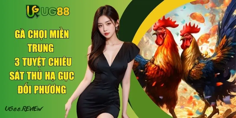 Gà Chọi Miền Trung - 3 Tuyệt Chiêu Sát Thủ Hạ Gục Đối Phương