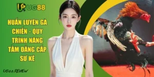 Huấn Luyện Gà Chiến - Quy Trình Nâng Tầm Đẳng Cấp Sư Kê