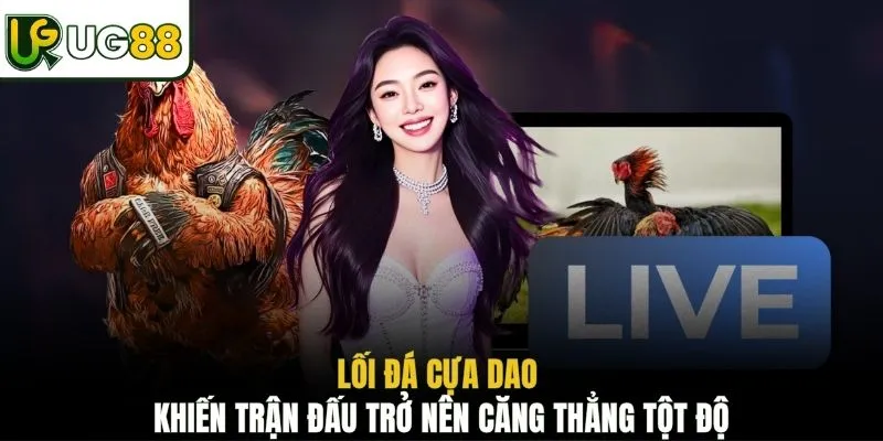 Lối đá cựa dao khiến trận đấu trở nên căng thẳng tột độ 