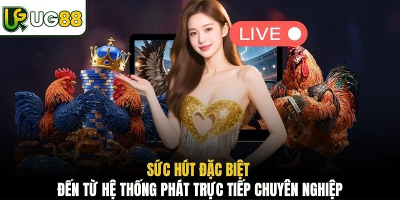 Sức hút đặc biệt đến từ hệ thống phát trực tiếp chuyên nghiệp
