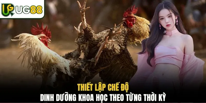 Thiết lập chế độ dinh dưỡng khoa học theo từng thời kỳ