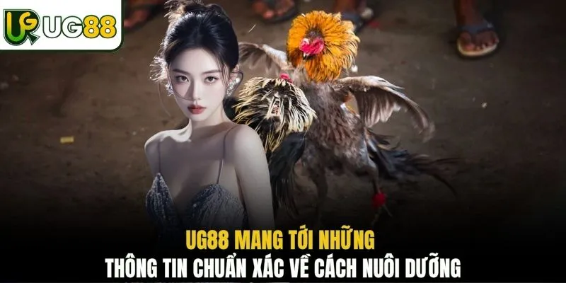 UG88 mang tới những thông tin chuẩn xác về cách nuôi dưỡng